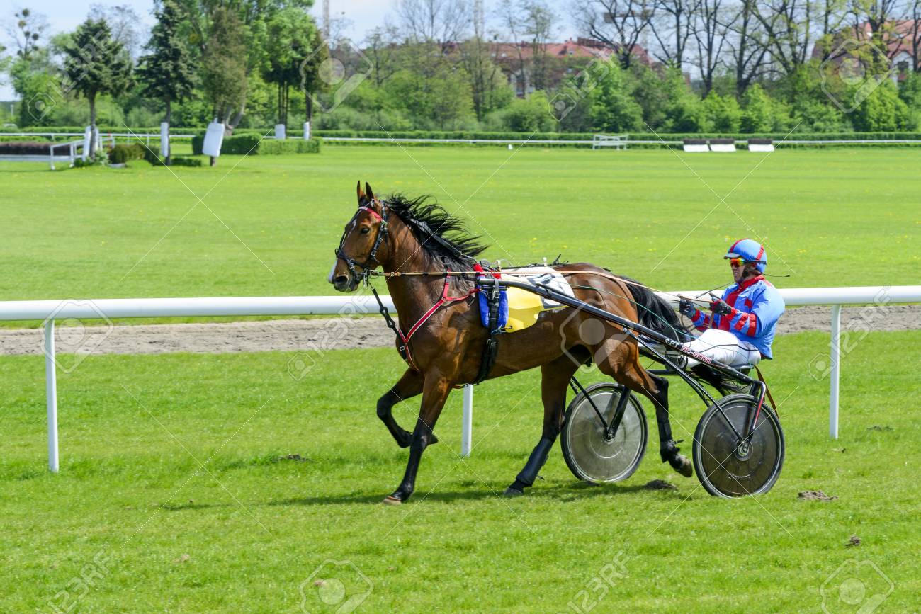 trotteur de course
