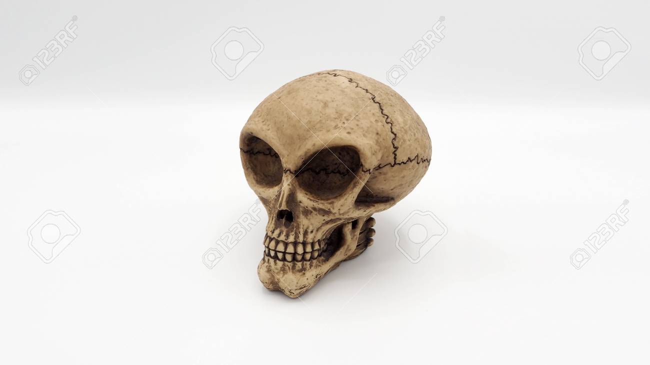 Alien Schadel Und Weisser Hintergrund Lizenzfreie Fotos Bilder Und Stock Fotografie Image 72849050