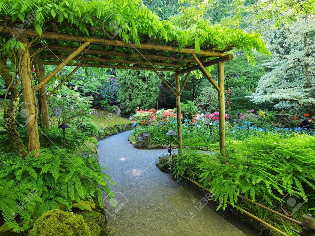 Pergola Covered With Climbing Plants Over The Walkway In The.. Stock Pergola covered with climbing plants over the walkway in the lush garden Stock Photo - 21967503 - Pergola Covered With Climbing Plants Over The Walkway In The.. Stock