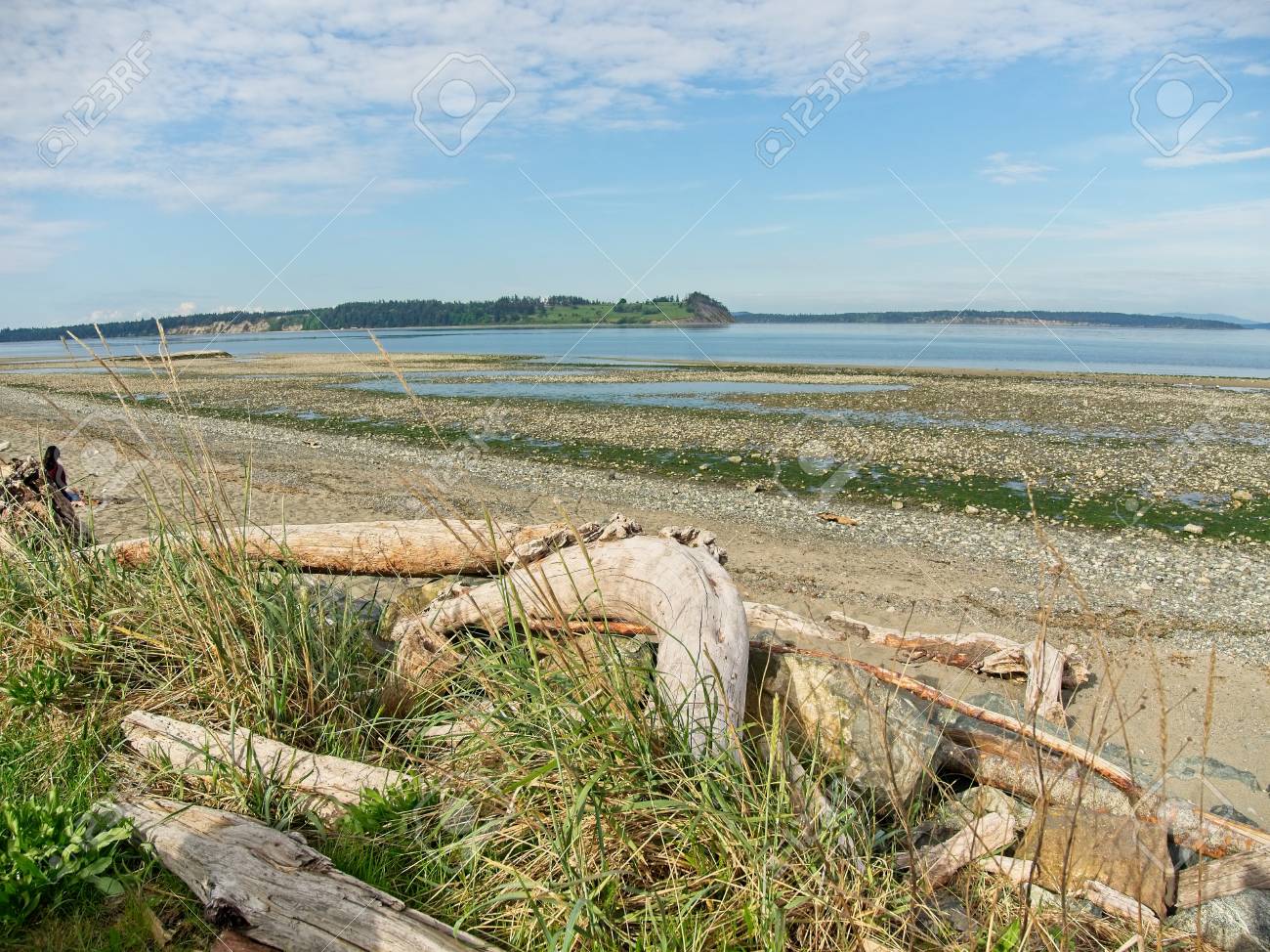 Rocky Shores With Driftwood Strewn Around On The Island View