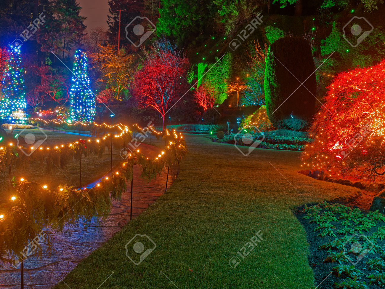 December 15, 2019 - Victoria BC, Canada. Festive Christmas Illumination In  The Butchart Gardens Stock Photo, Picture and Royalty Free Image. Image  161537462., image size:1300x975