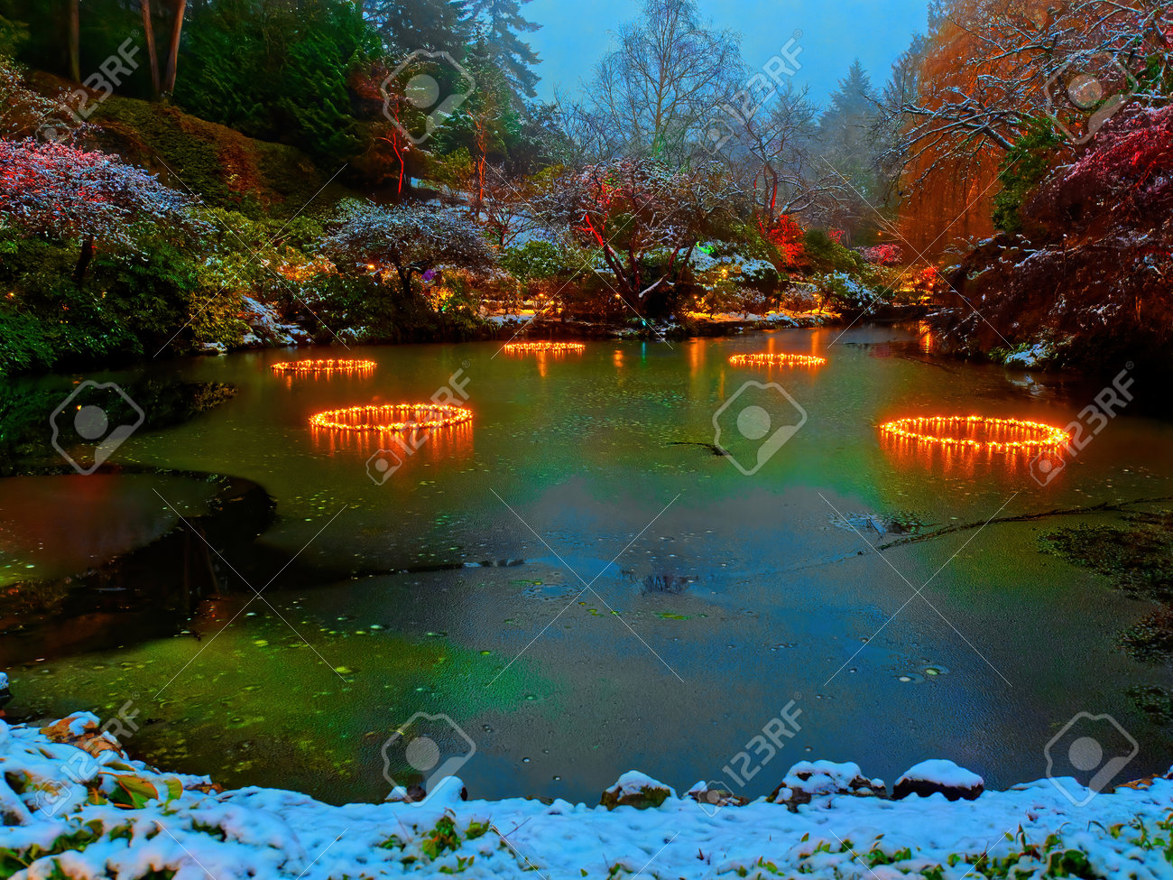 Victoria BC, Canada - December 21 2018. Festive Christmas Illumination In  Snow-covered The Butchart Gardens Stock Photo, Picture and Royalty Free  Image. Image 161006965., image size:1300x975