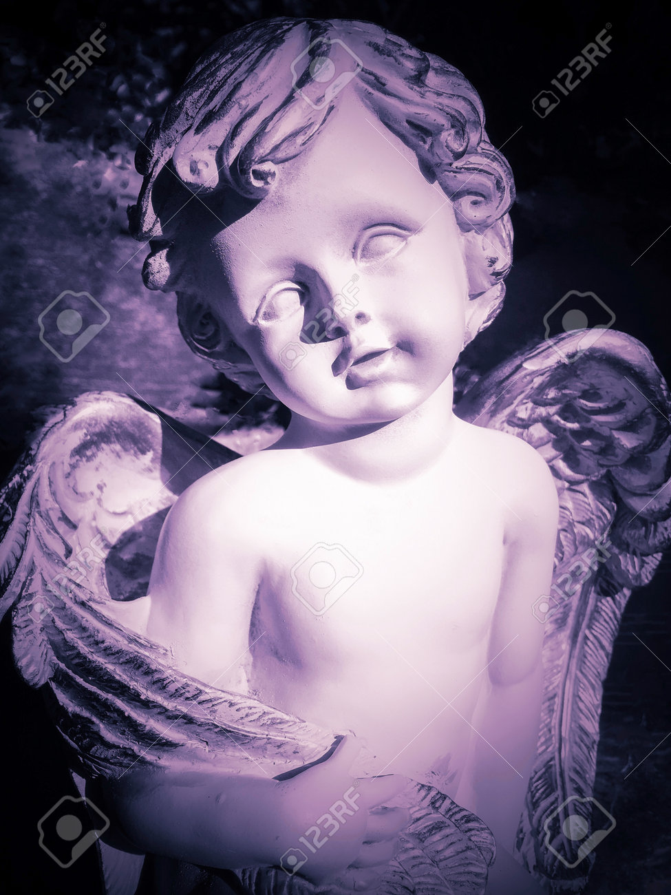 etiam-dictum-ipsum-a-felis