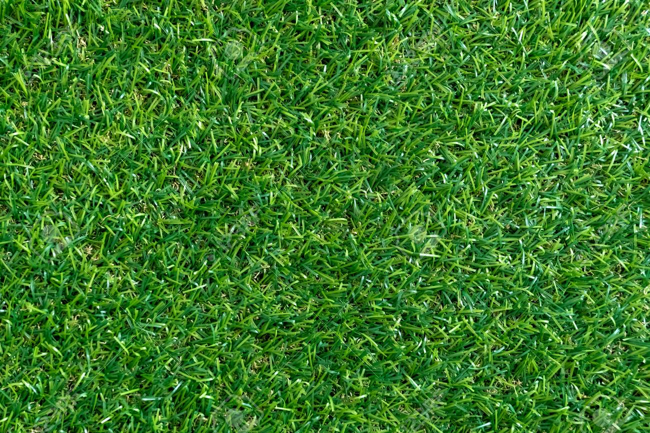 Green Grass Texture For Background Green Lawn Pattern And Texture Stock Photo Picture And Royalty Free Image Image 112909646