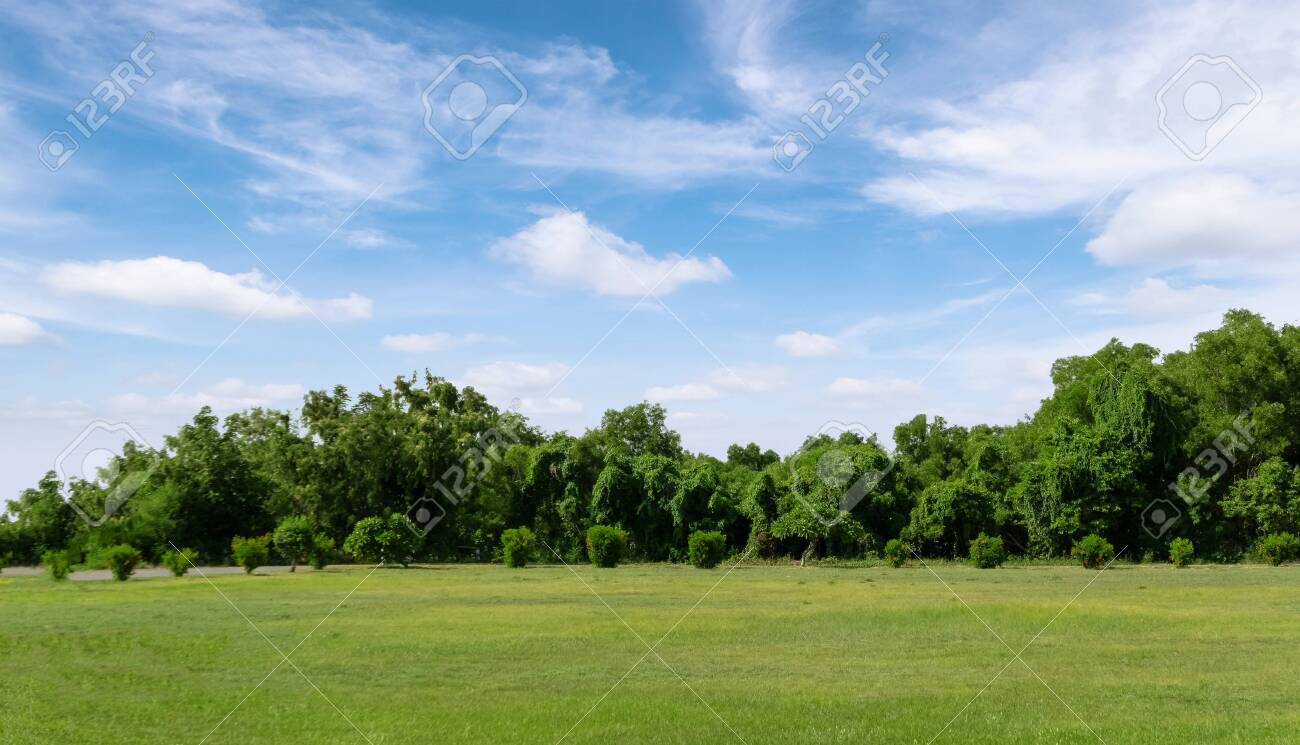 Landscape Of Grass Field And Green Environment Public Park With Blue Sky Beautiful Summer Landscape For Background Stock Photo Picture And Royalty Free Image Image 146727169