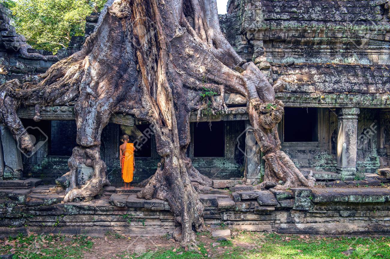 僧侶やタ プローム寺院 カンボジアのアンコール ワットからの木 の写真素材 画像素材 Image 僧侶やタ プローム寺院 カンボジアのアンコール ワットからの木 の写真素材 画像素材 Image