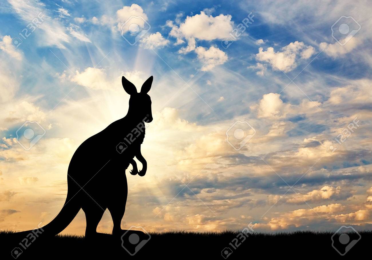 カンガルーのシルエットを背景に美しい空 の写真素材 画像素材 Image