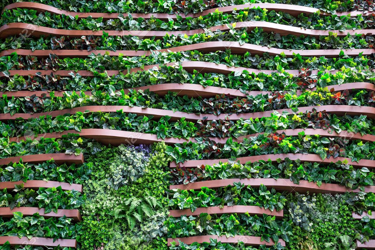 Vertical Garden Decoration On Wooden Wall Stock Photo Picture And Royalty Free Image Image 107206317