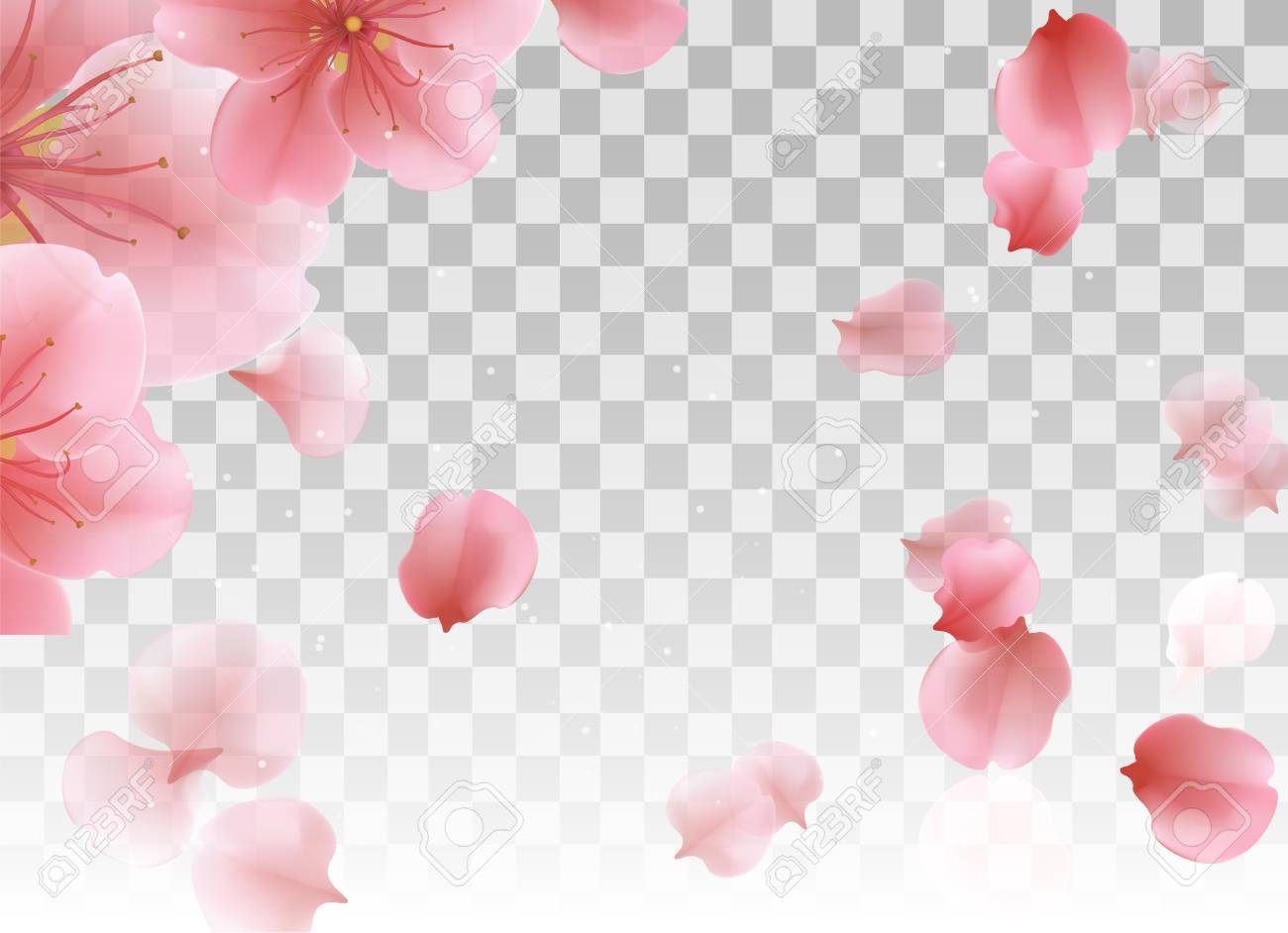 ピンクの桜の花びらが飛んでいます 分離ベクトル化粧品設計のための Eps10 の背景のイラスト素材 ベクタ Image