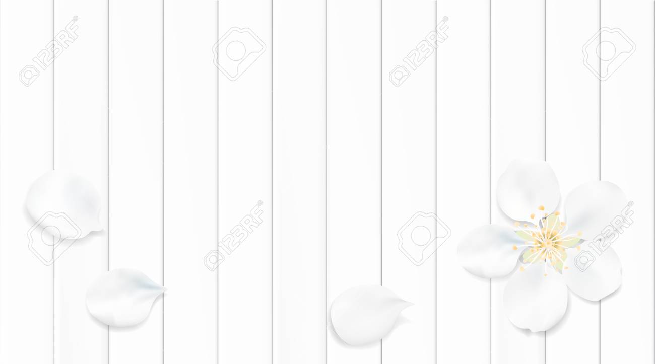 白い色のパステル春マクロの背景 木製のテーブル イラスト花びらをアップル ツリー花の花のイラスト素材 ベクタ Image