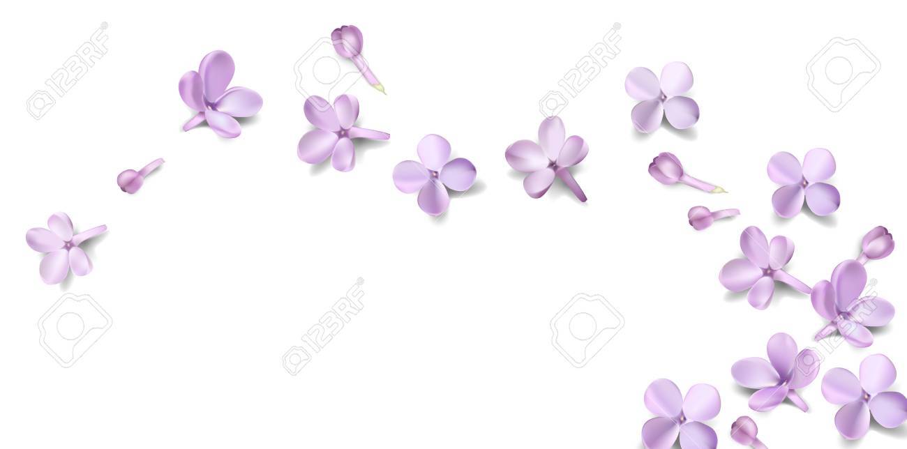 Fondo Floral Suave Del Color En Colores Pastel Con El Lugar Para El Texto Purpura Lila Flores Y Petalos Acuarela Estilo Ilustracion Vectorial Plantilla Ilustraciones Vectoriales Clip Art Vectorizado Libre De Derechos 1 fotoğraf · tarafından oluşturulmuştur martina. fondo floral suave del color en colores pastel con el lugar para el texto purpura lila flores y petalos acuarela estilo ilustracion vectorial