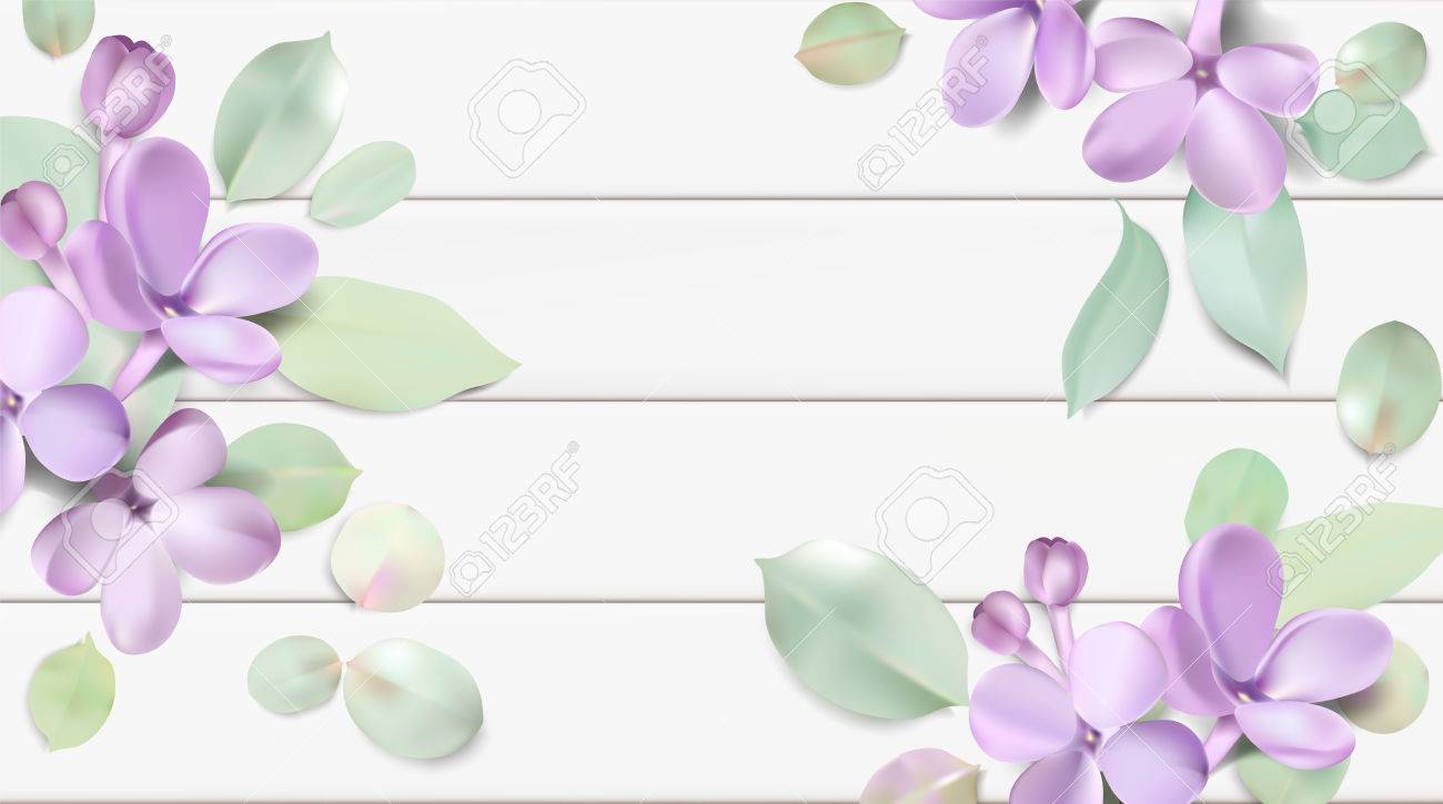 Fondo Floral Suave Del Color En Colores Pastel Purpura Lila Flores Petalos Acuarela Pais Estilo Vector Ilustracion Plantilla Ilustraciones Vectoriales Clip Art Vectorizado Libre De Derechos Image 77161141 We hope you enjoy our growing collection of hd images. fondo floral suave del color en colores pastel purpura lila flores petalos acuarela pais estilo vector ilustracion plantilla