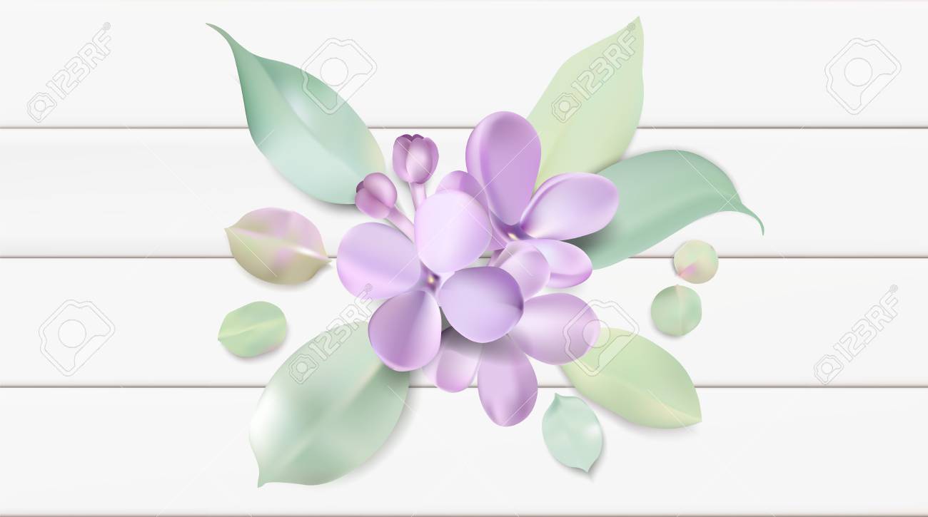 Fondo Floral Suave Del Color En Colores Pastel Purpura Lila Flores Petalos Acuarela Pais Estilo Vector Ilustracion Plantilla Ilustraciones Vectoriales Clip Art Vectorizado Libre De Derechos Image 77161154 Descubre cuáles son las 12 plantas con flores lilas más bonitas. fondo floral suave del color en colores pastel purpura lila flores petalos acuarela pais estilo vector ilustracion plantilla