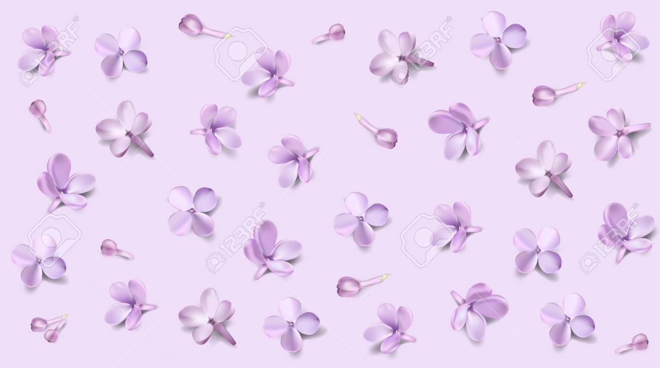 Fondo Floral Suave Del Color En Colores Pastel Purpura Lila Flores Y Petalos Acuarela Estilo Ilustracion Vectorial Plantilla Ilustraciones Vectoriales Clip Art Vectorizado Libre De Derechos Image 77161160 Lila pastel brinda una dulce creatividad y arte en cada una de nuestras t. fondo floral suave del color en colores pastel purpura lila flores y petalos acuarela estilo ilustracion vectorial plantilla