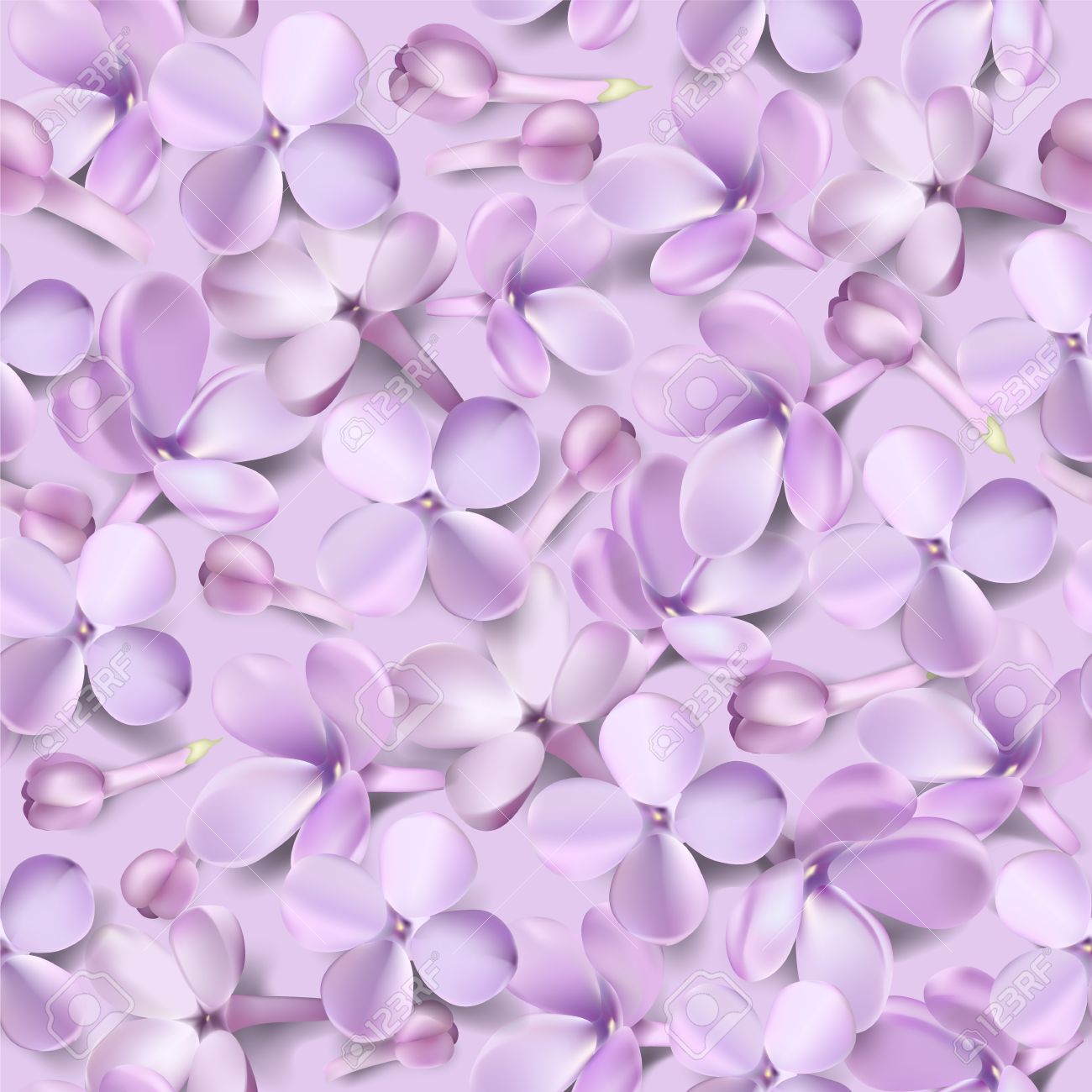 soft pastel color floral background purple lilac flowers and