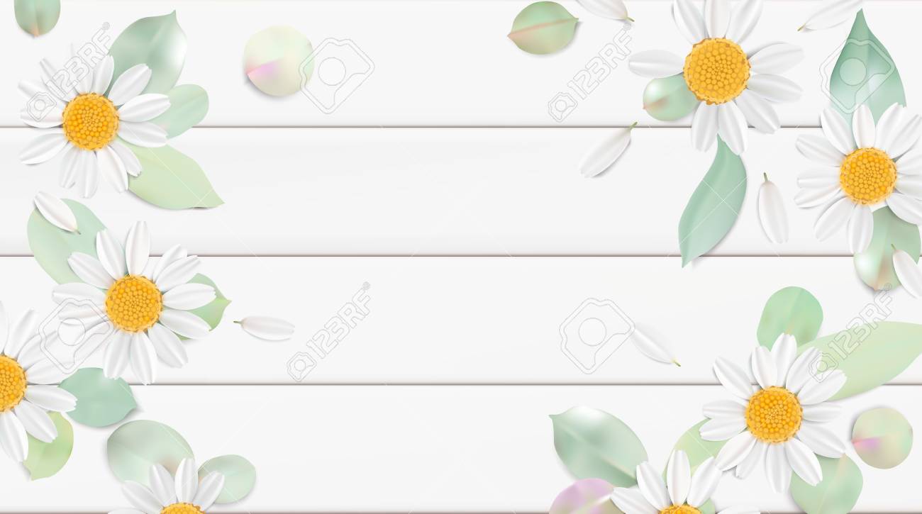 柔らかいパステル カラー白地に花の 3 D イラスト 黄色のワイルド カモミールの花と花びら水彩風ベクトル イラスト テンプレートです エコ有機パターンのイラスト素材 ベクタ Image 柔らかいパステル カラー白地に花の 3 D イラスト 黄色のワイルド カモミールの花と花びら水彩風ベクトル イラスト テンプレートです エコ有機パターンのイラスト素材 ベクタ Image