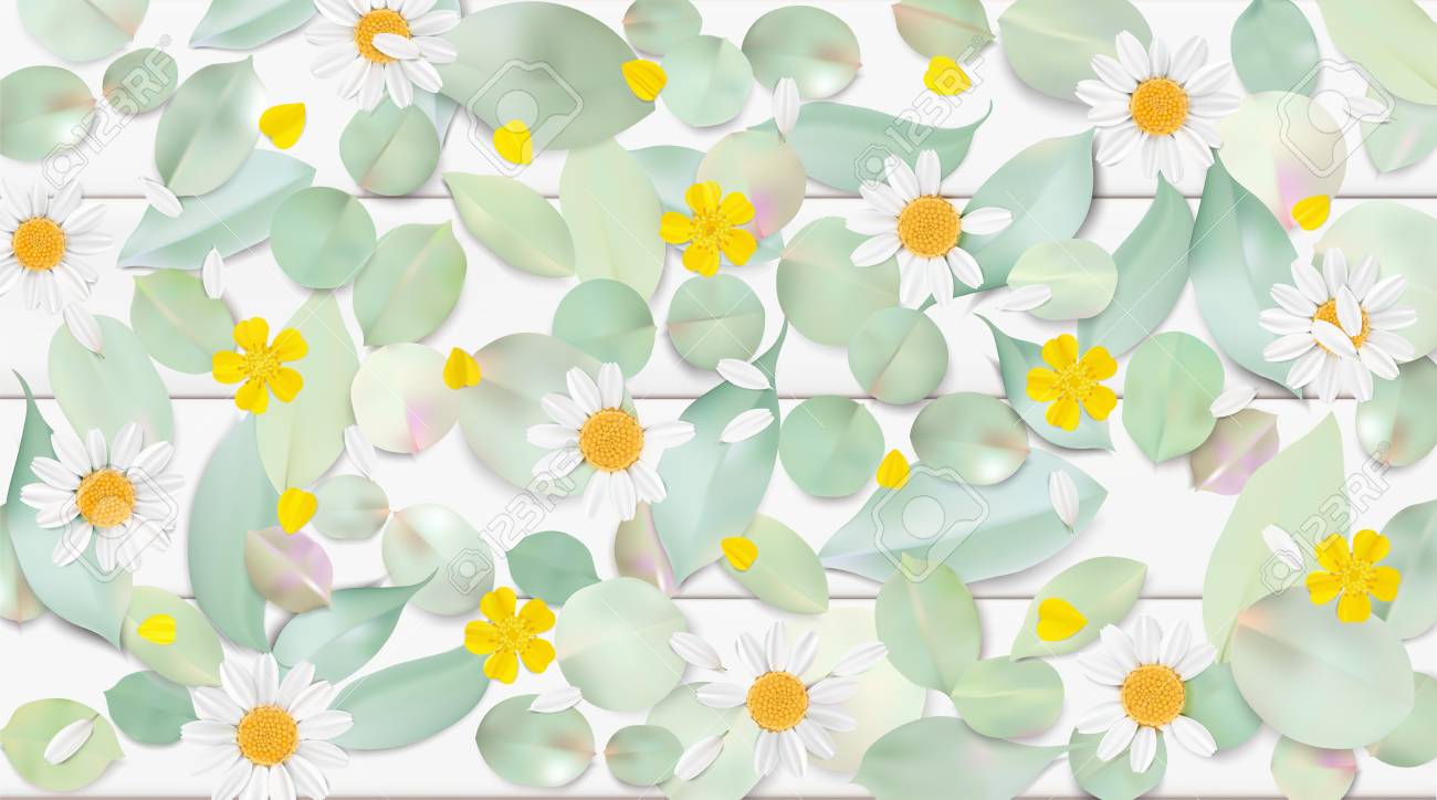 柔らかいパステル カラー白地に花の 3 D イラスト 黄色の野生カモミールの花 葉 花びら水彩風ベクトル草原イラスト テンプレートです エコ有機電界パターン のイラスト素材 ベクタ Image