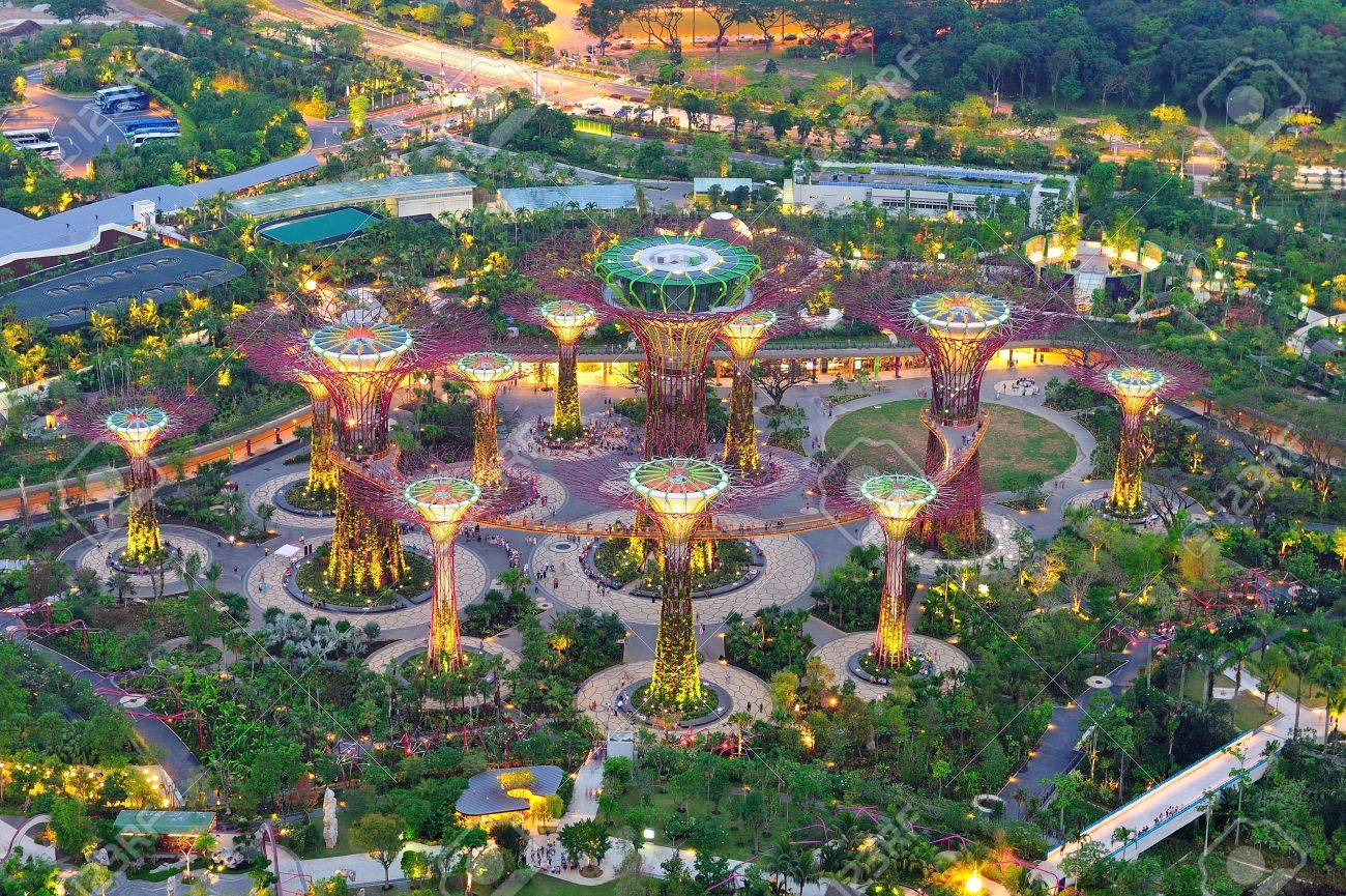 Garden By The Bay Attractions aerial view of cluster of super trees at the newly opened gardens Garden By The Bay Attractions aerial view of cluster of super trees at the newly opened gardens