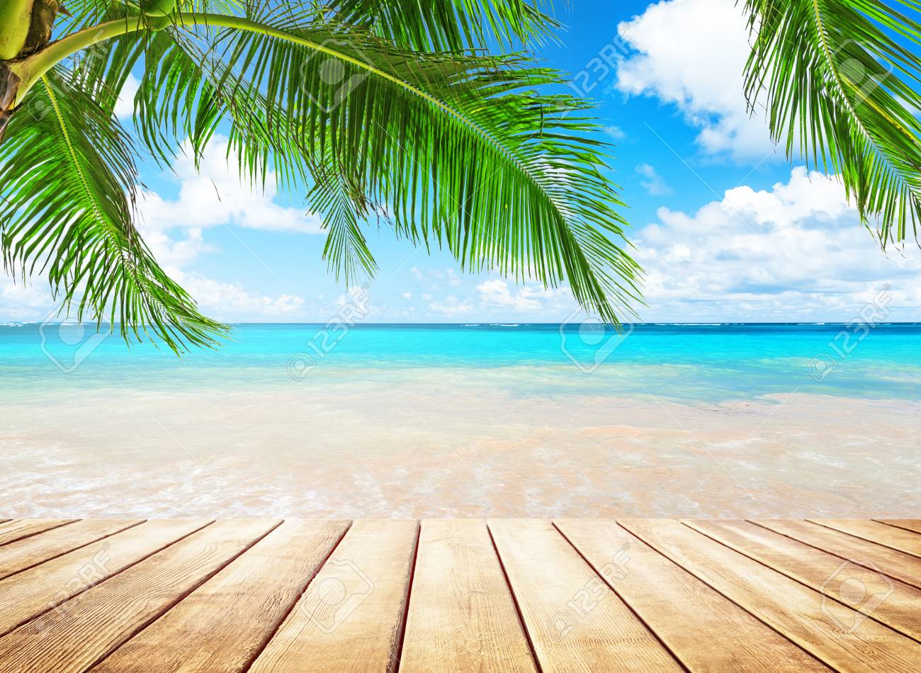 Coconut Palm Trees Against Blue Sky And Beautiful Beach In Punta Coconut Palm Trees Against Blue Sky And Beautiful Beach In Punta