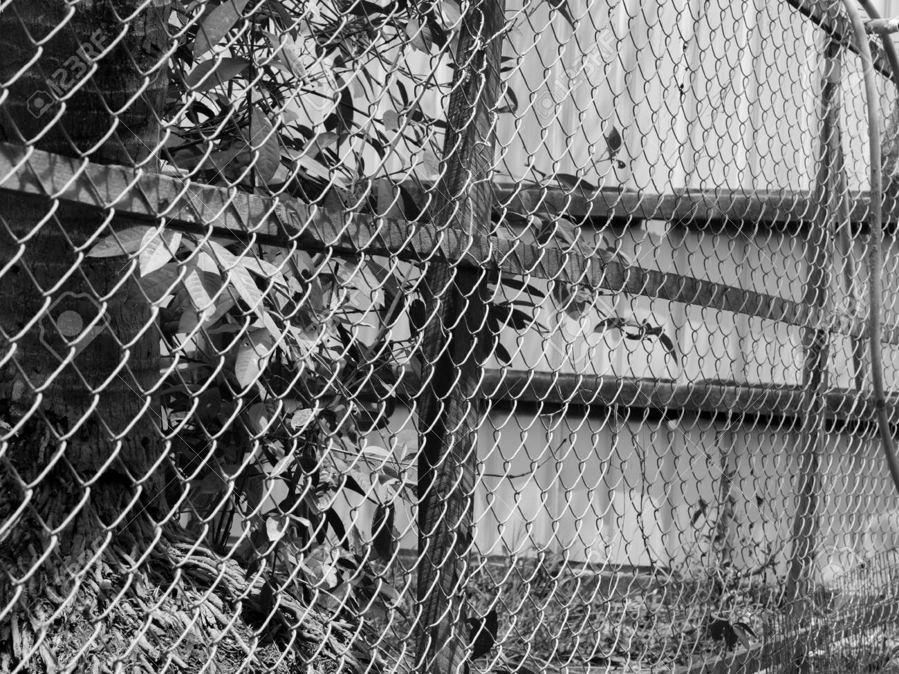チェーン リンク フェンス 金網 ワイヤー メッシュ フェンス チェーン ワイヤー フェンス サイクロン フェンス ハリケーンのフェンスやダイヤモンド メッシュ フェンスとも呼ばれる の黒と白の写真 の写真素材 画像素材 Image