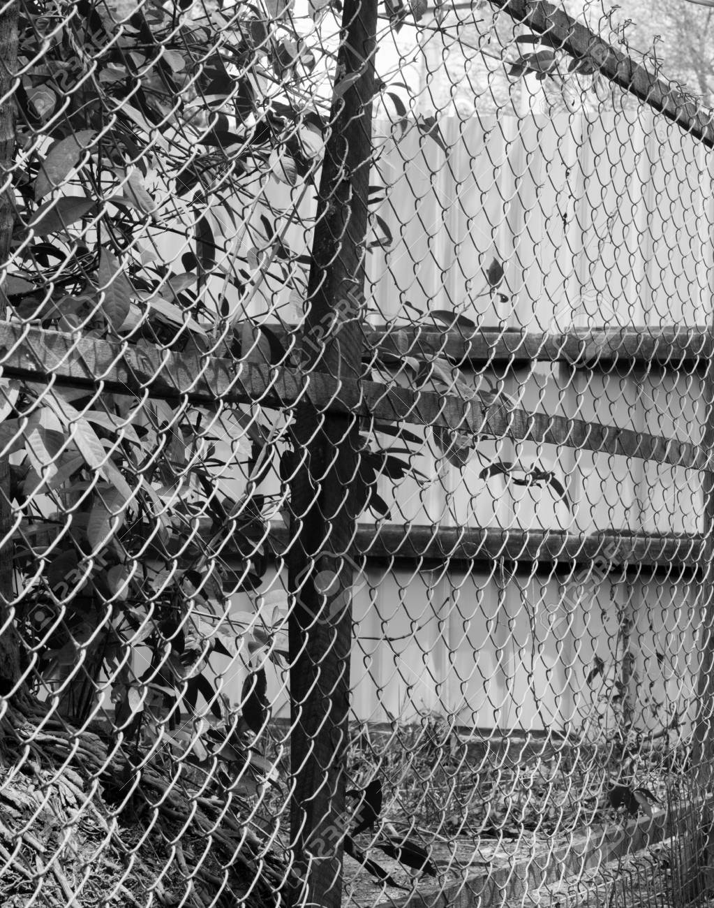 black and white photo of chain link fence also referred to as