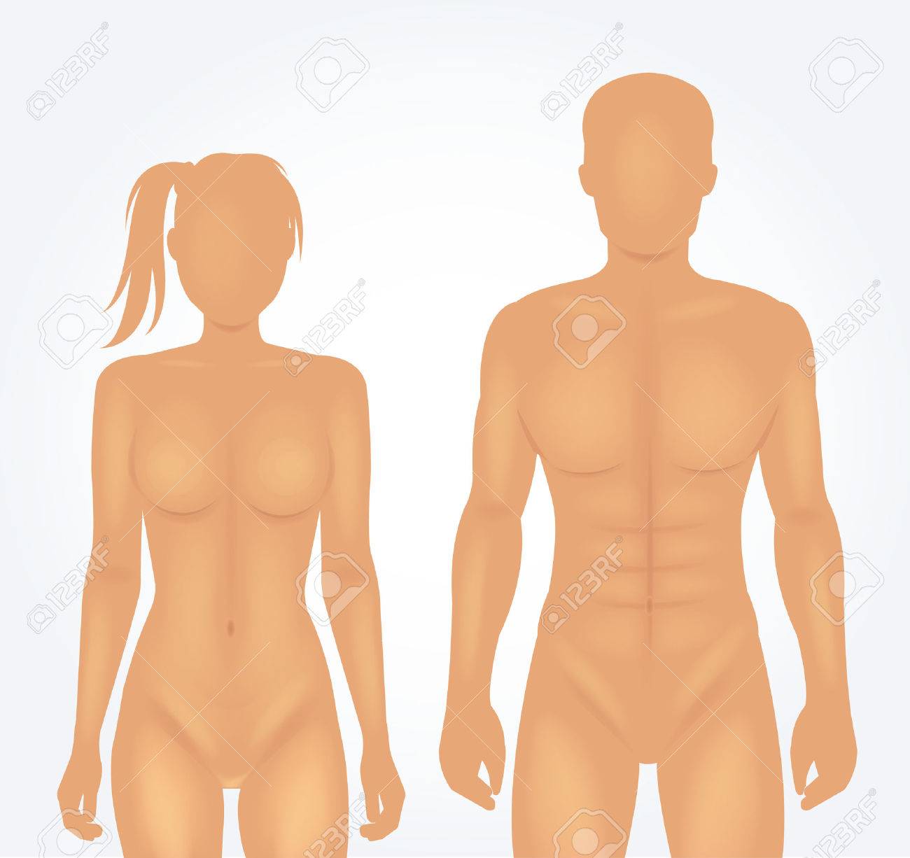 man and woman body template vector illustration royalty free body template woman