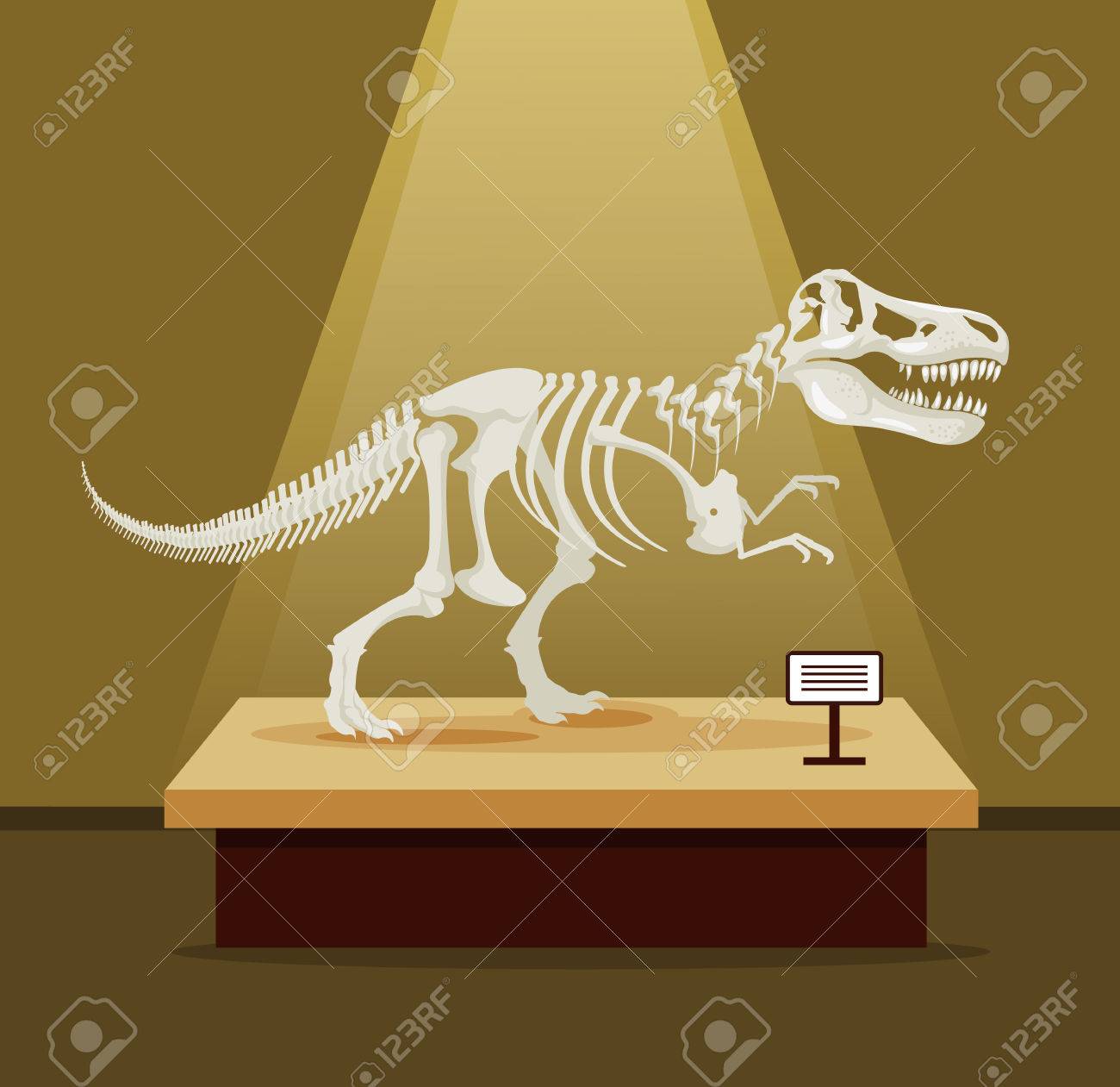 Tyrannosaur Rex bones skeleton in museum exhibition. Vector flat cartoon illustration. Dinosaurs museum - 57784016 Tyrannosaur Rex bones skeleton in museum exhibition. Vector flat cartoon illustration. Dinosaurs museum - 57784016
