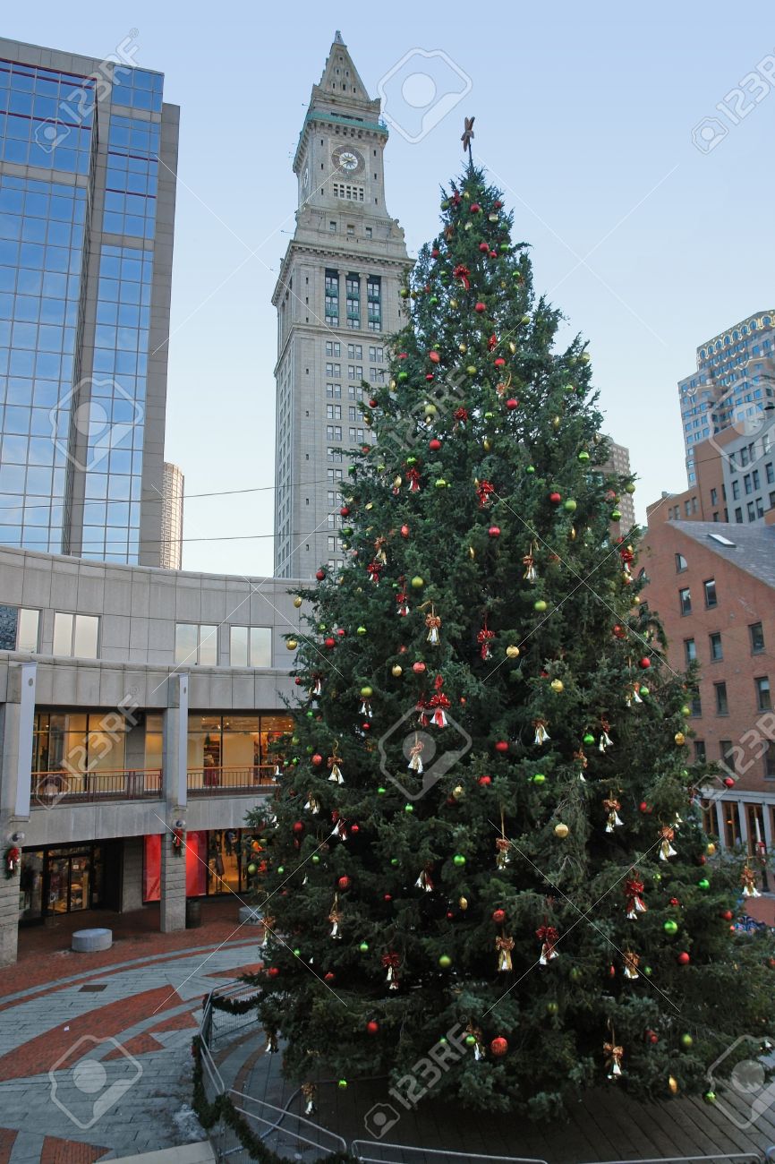 米国製 大型クリスマスツリー