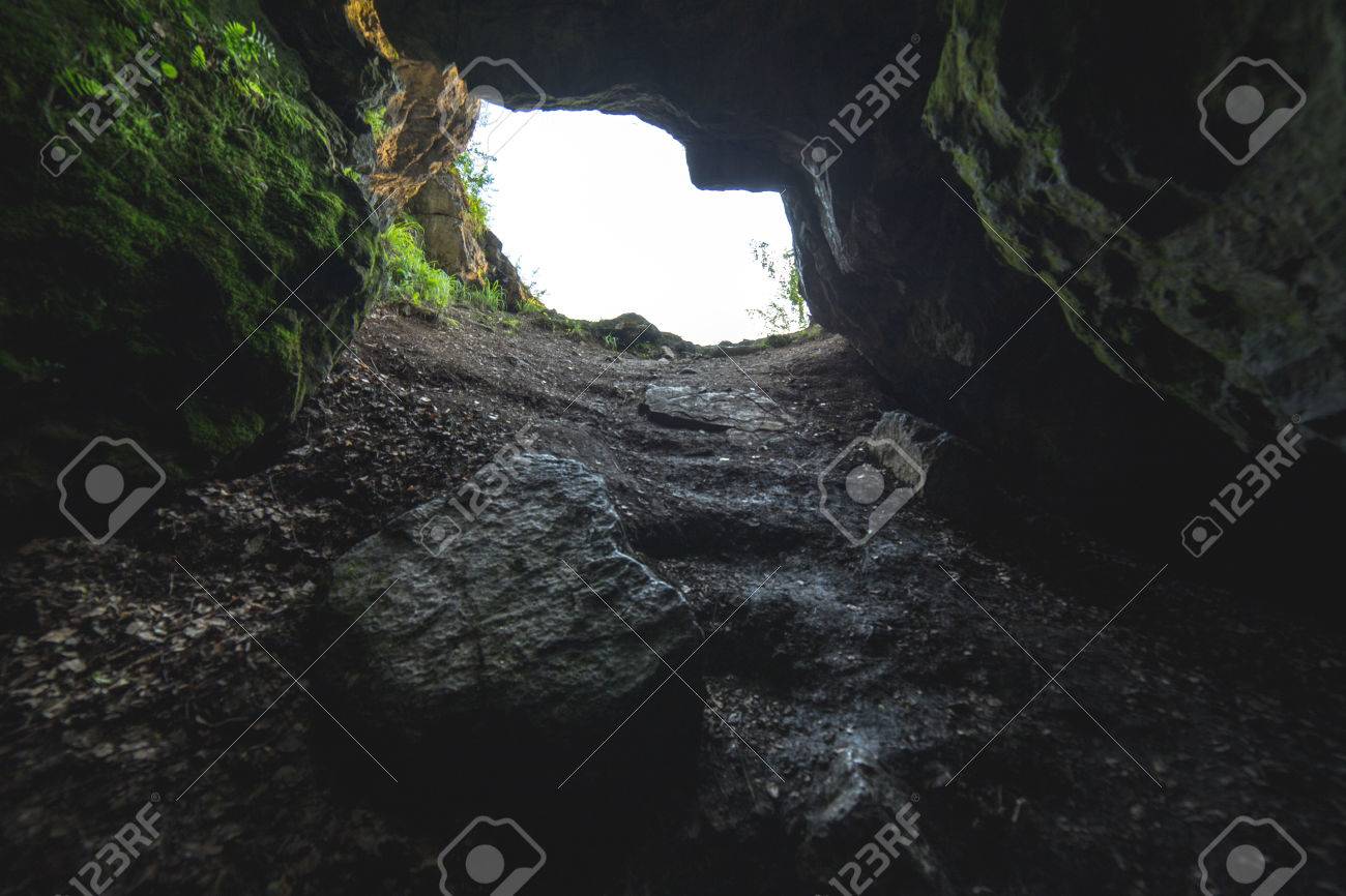 etiam-dictum-ipsum-a-felis