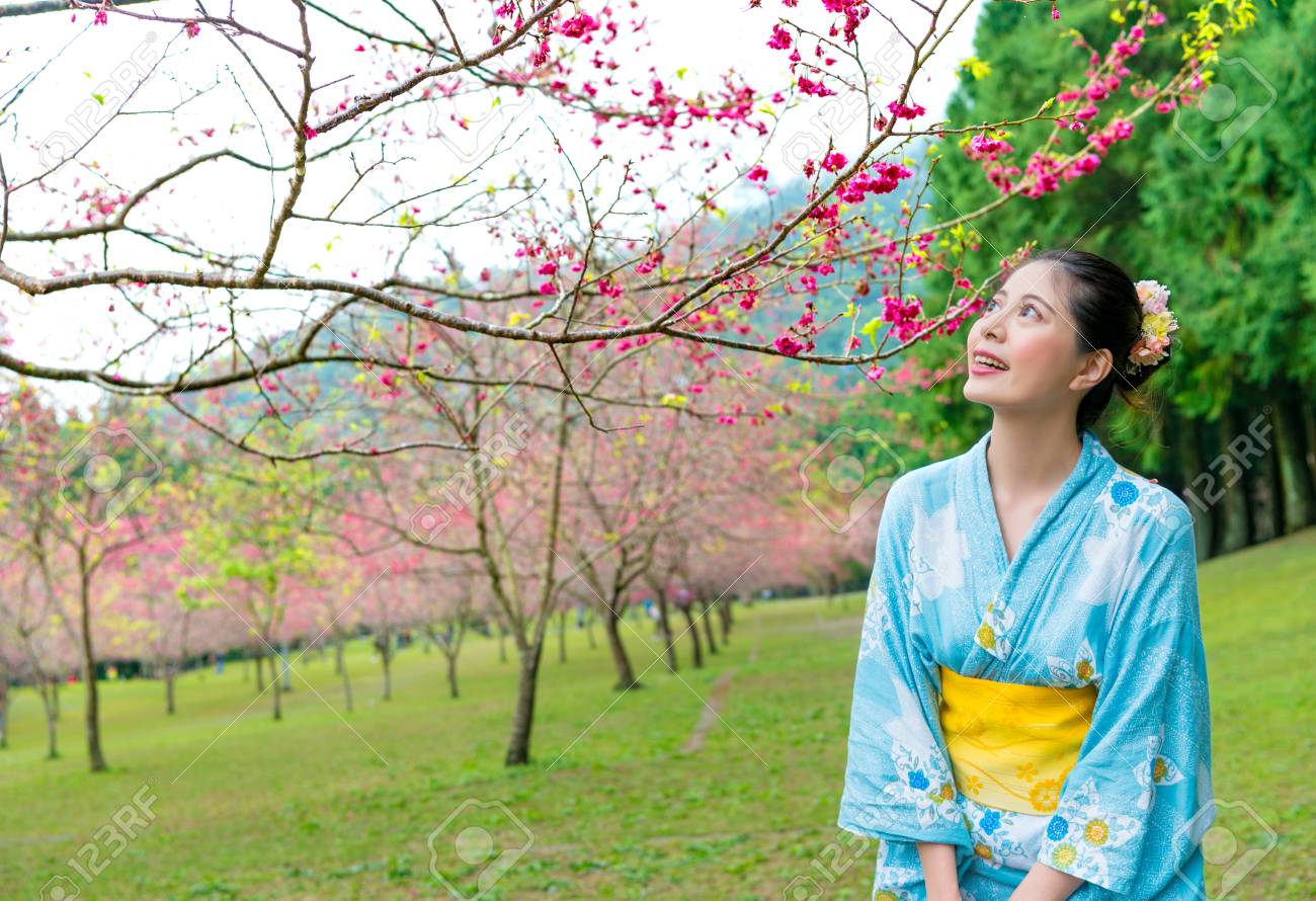 Japanese Cherry Blossom Spring Merch