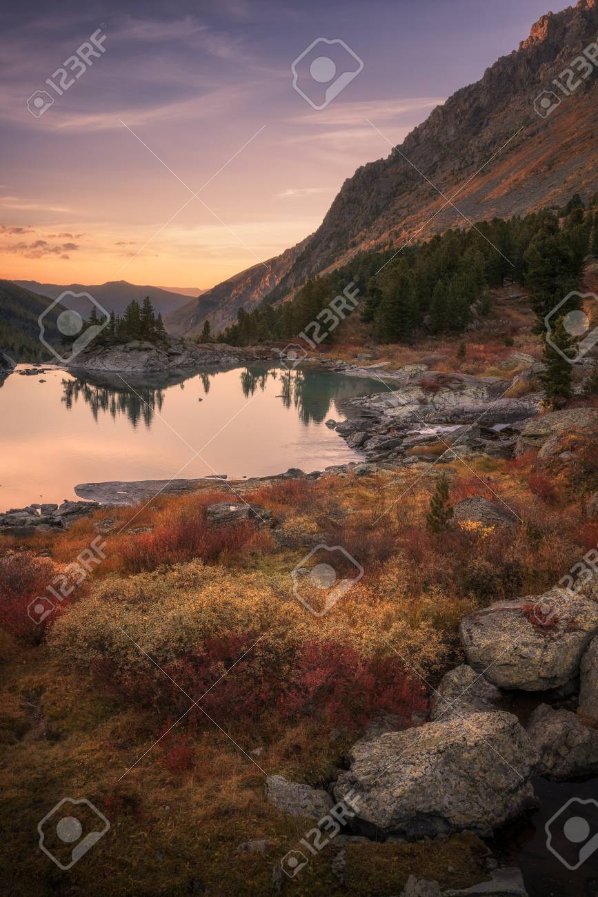 空と鏡のような湖を前景 アルタイ山高原の自然の秋風景の写真の赤い色の成長と夕焼けをピンクします 美しいロシアの荒野の風景イメージ の写真素材 画像素材 Image
