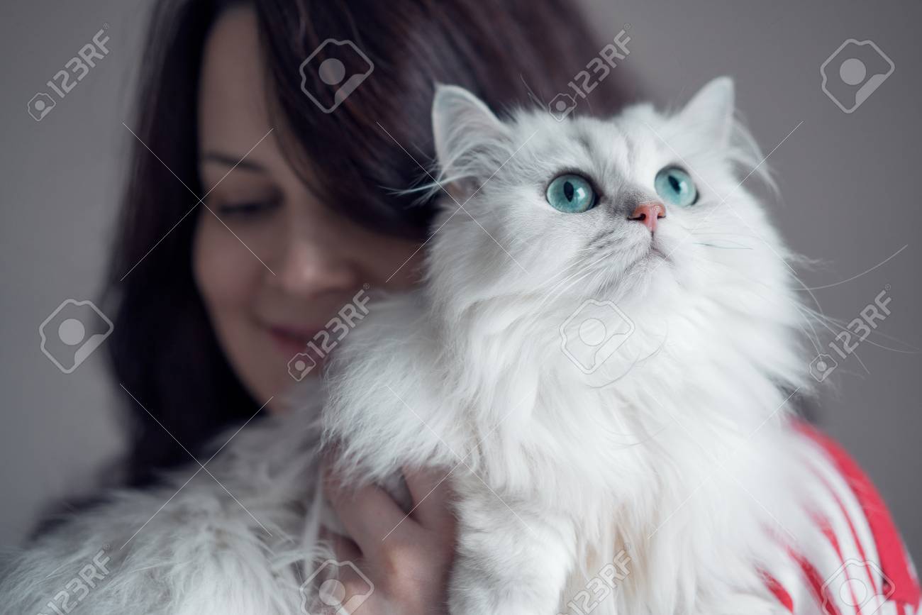 Belle Jeune Femme Brune étreignant Adorable Chat à Poil Long Blanc Persan