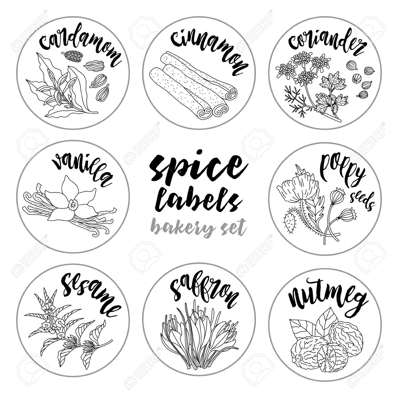 spices and herbs jar labels and stickers contour vector condiment labels for spices