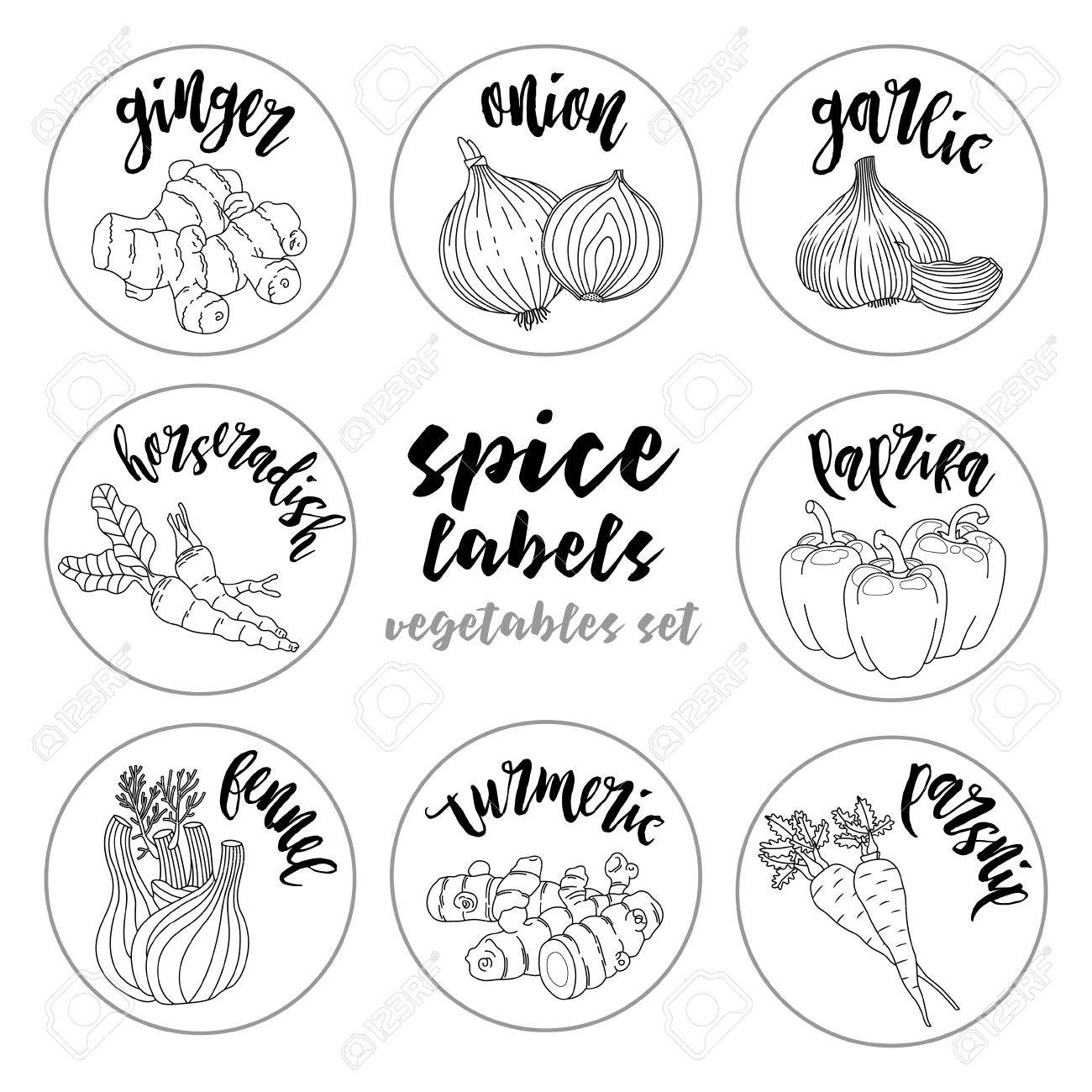 spices and herbs jar labels and stickers contour vector condiment