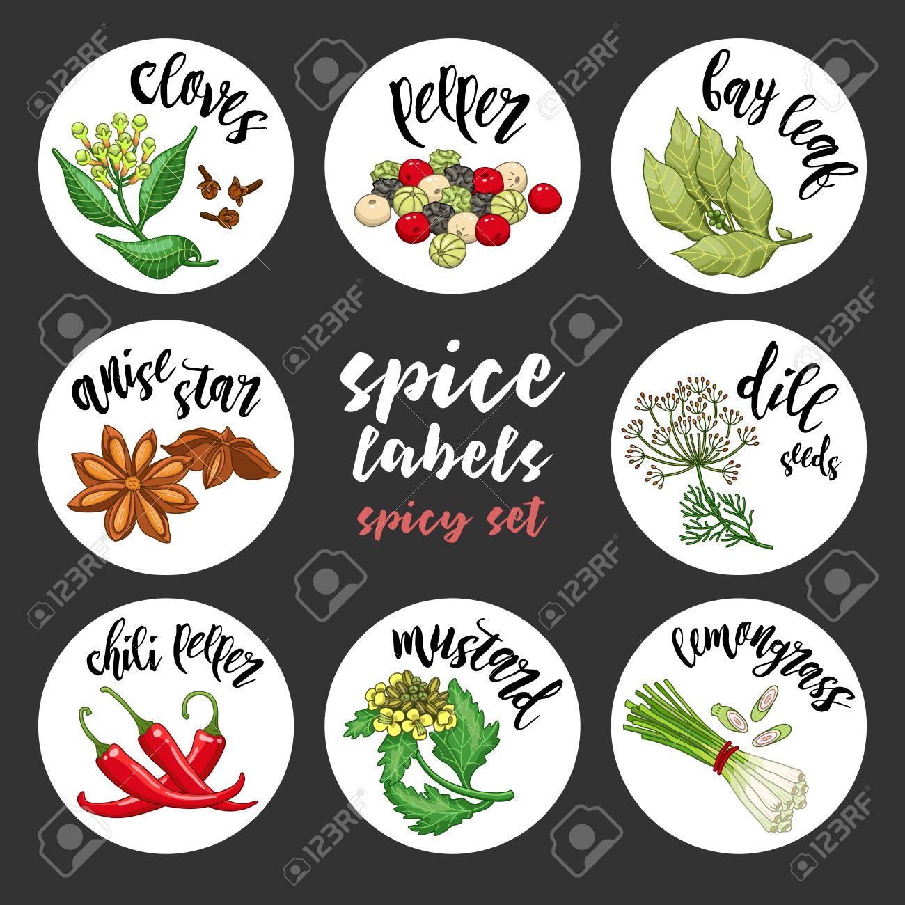 Gewurze Und Krauter Glas Etiketten Und Aufkleber Farbige Vektor Gewurz Wurzig Satz Mit Nelken Pfeffer Lorbeer Dillsamen Anis Sterne Senf Zitronengras Chili Pfeffer Botanische Illustrationen Lizenzfrei Nutzbare Vektorgrafiken Clip Arts