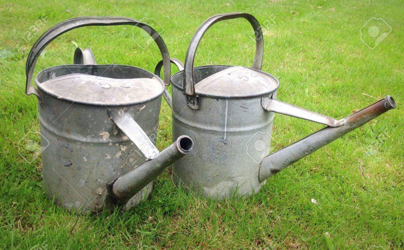 metal sprinkling cans indoor pair of metal watering cans stock photo 23534698 of photo picture and royalty free metal sprinkling cans indoor pair of metal watering cans stock photo 23534698 of photo picture and royalty free