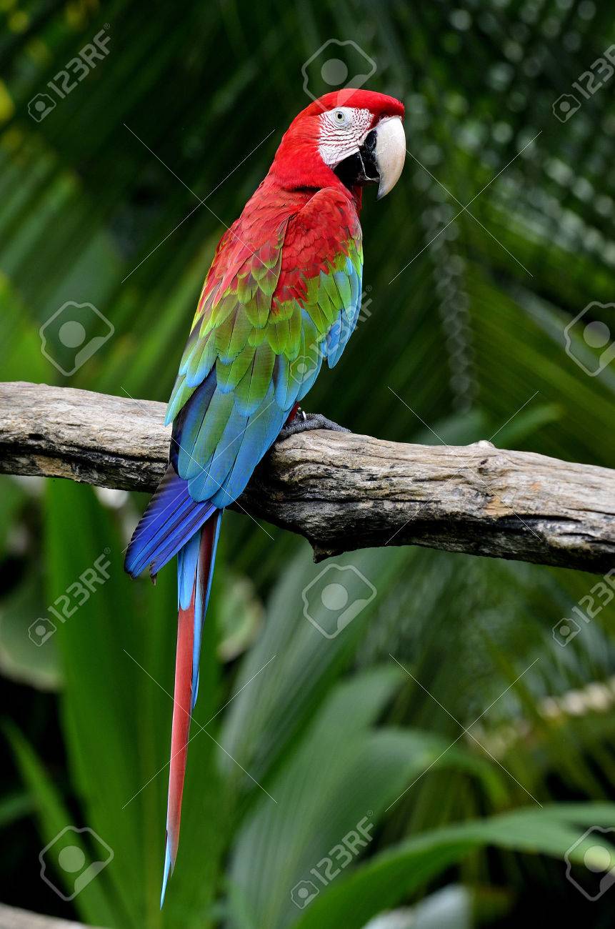 31+ Pic Nice Photo For Profile Images