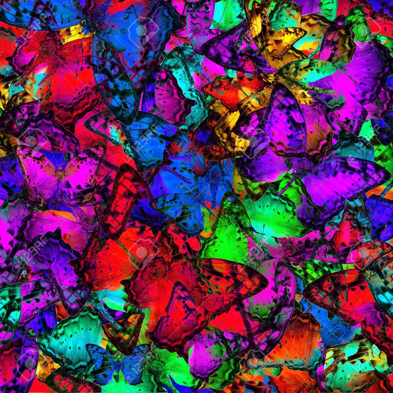 流浪蝶様々 な派手な色の非常に美しい多色背景テクスチャ の写真素材 画像素材 Image