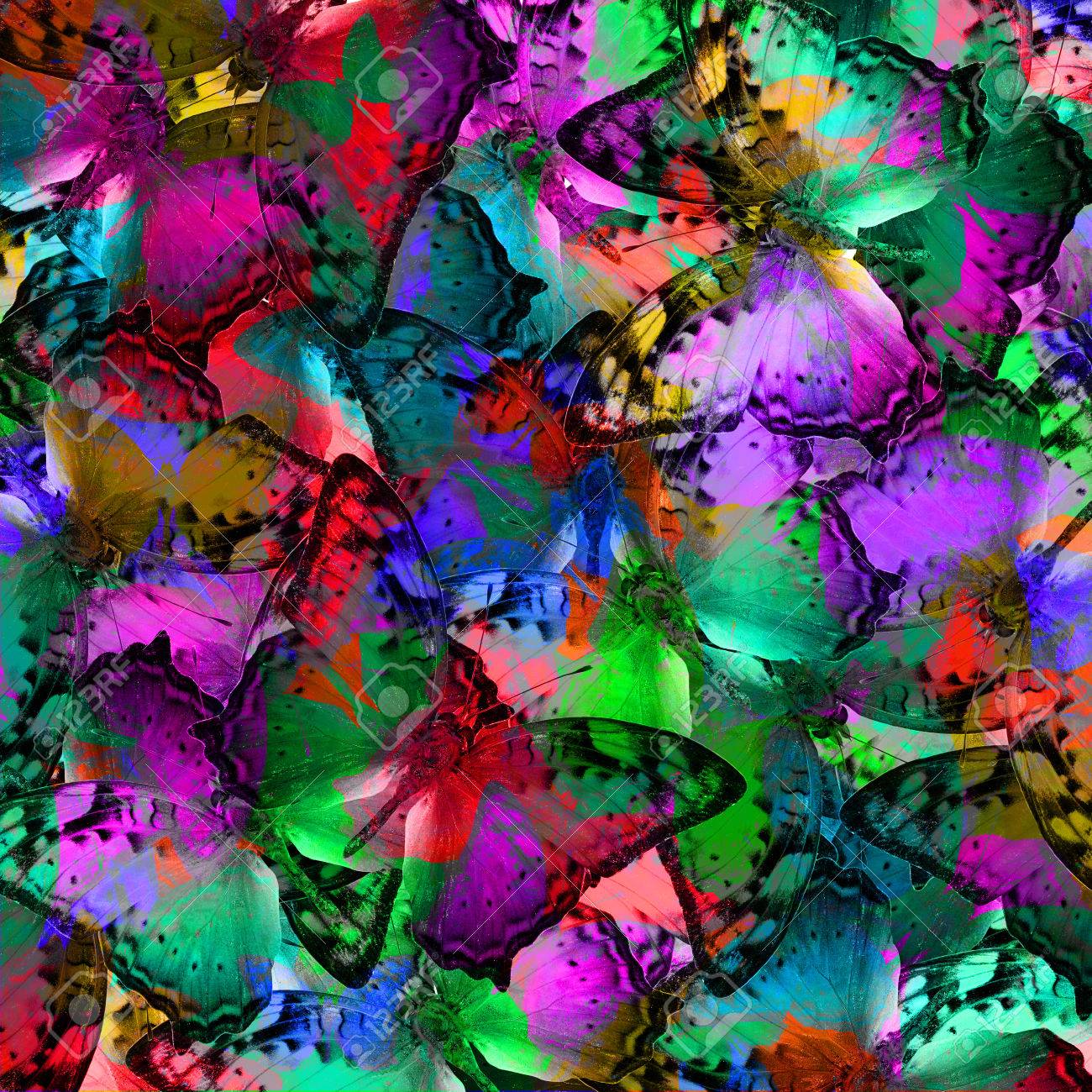 放浪者様々 な派手な色の蝶のエキゾチックな多色背景テクスチャ の写真素材 画像素材 Image