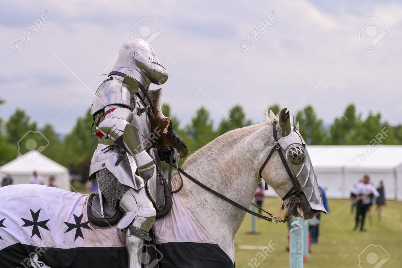 中世の馬上装甲騎士 【公式通販】