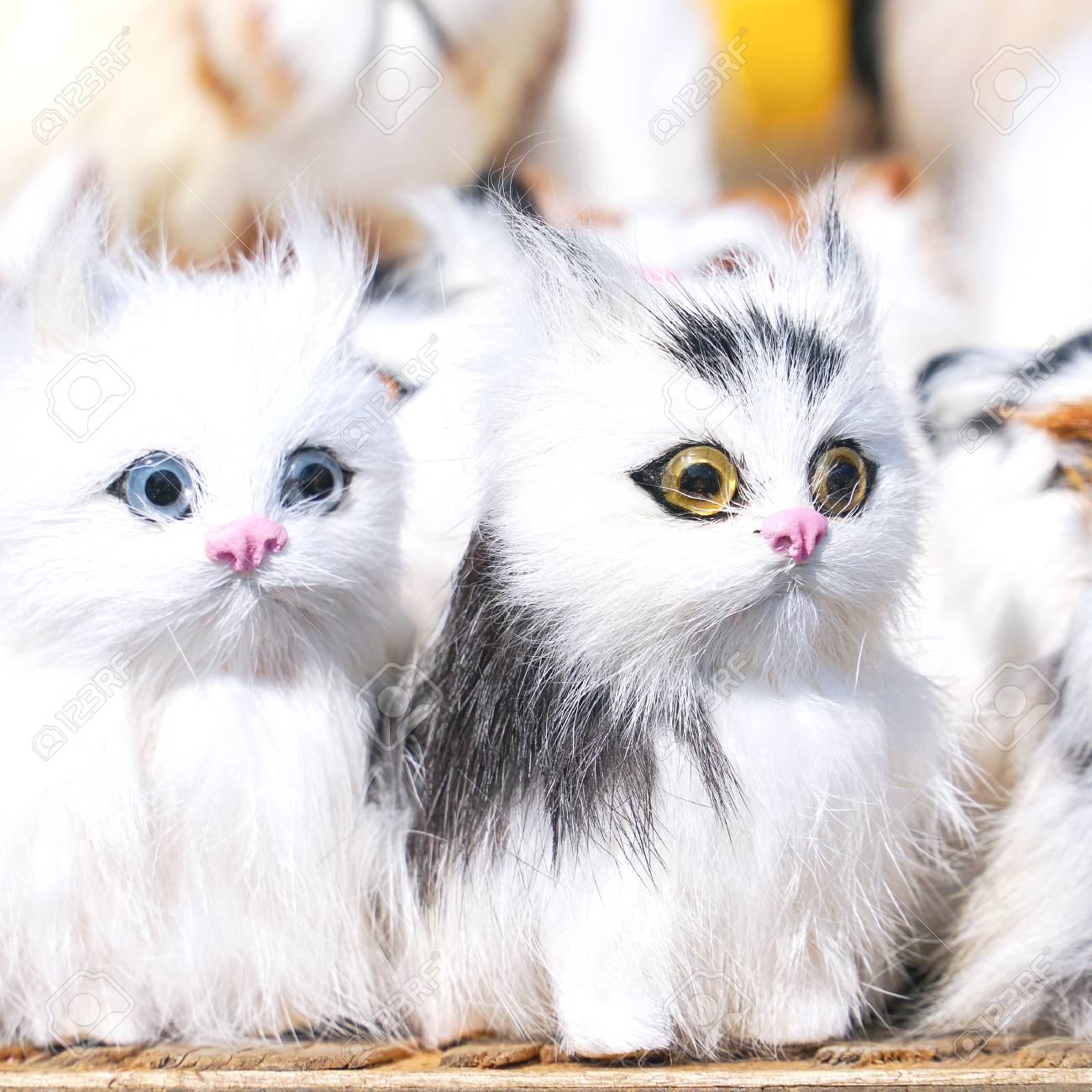 kitten soft toys