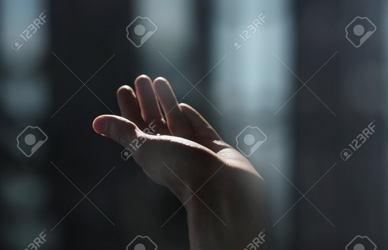 etiam-dictum-ipsum-a-felis