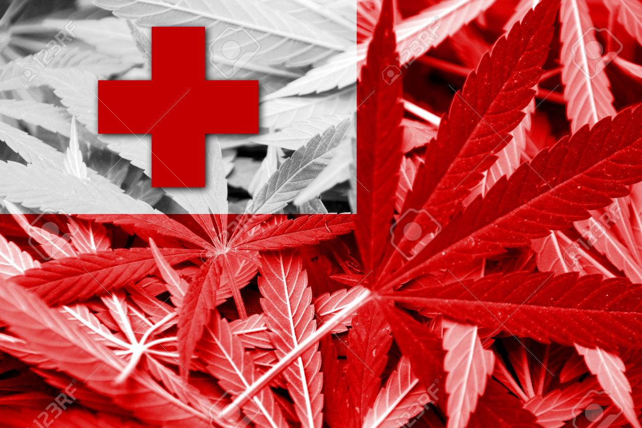 大麻の背景にトンガの国旗 薬物政策 マリファナの合法化 の写真素材 画像素材 Image