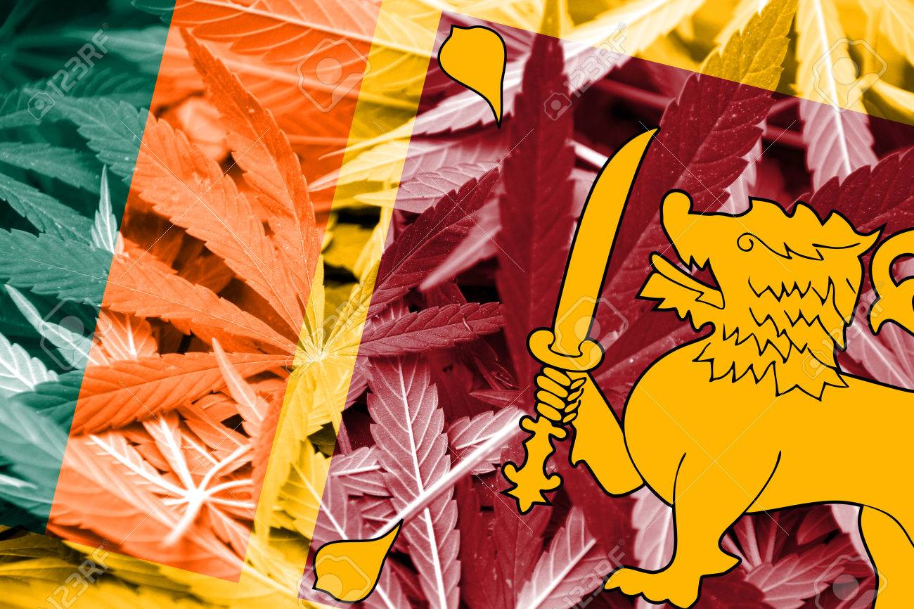 大麻の背景にスリランカのフラグです。薬物政策。マリファナの合法化の写真素材・画像素材 Image 37878228