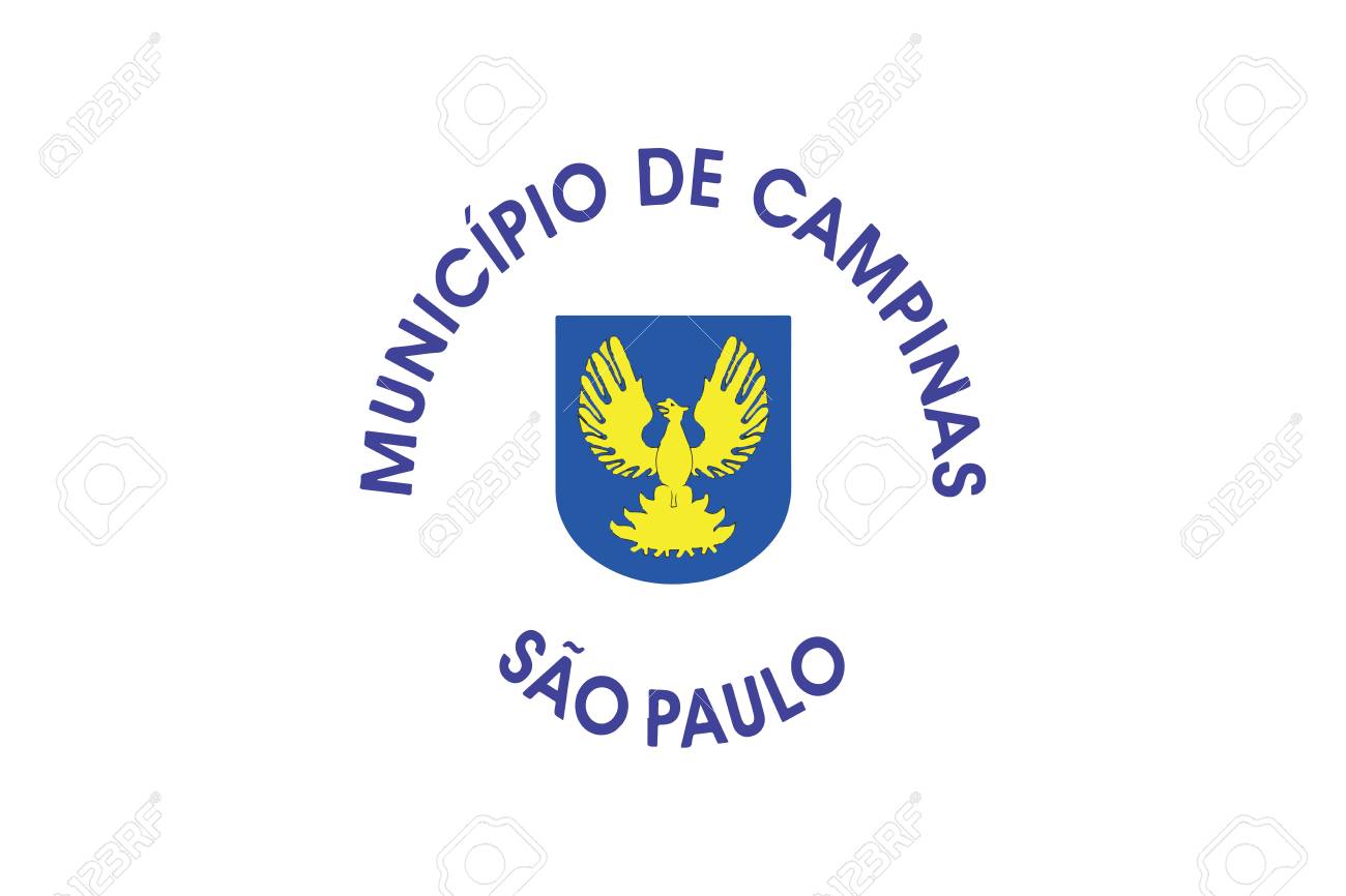 flag of campinas sao paulo state brazil vector format royalty