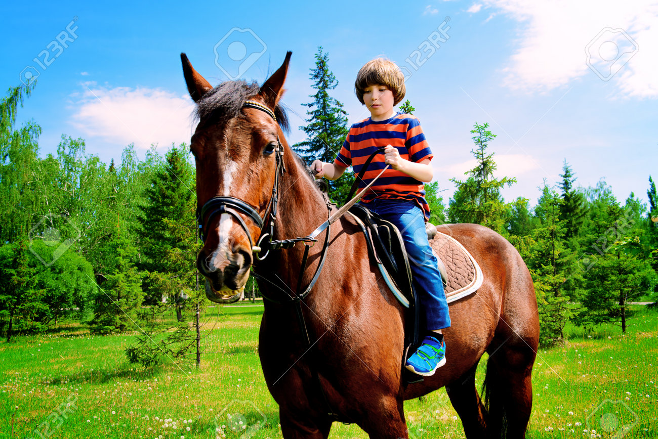 The Boy Is Riding A Horse In The Park. Sunny Summer Day. Stock Photo,  Picture and Royalty Free Image. Image 81941680., image size:1300x868
