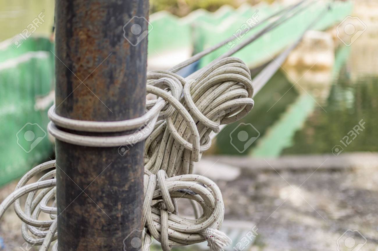 etiam-dictum-ipsum-a-felis