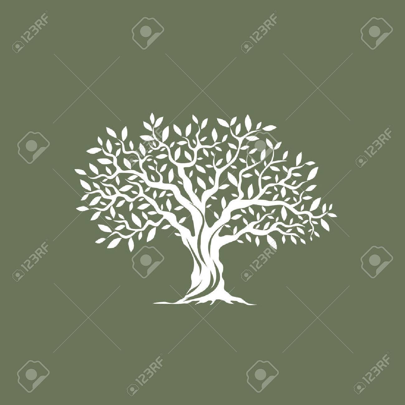 Schne Herrlichen Olivenbaum Silhouette Auf Grauem Hintergrund. Infografik  Moderne Vektor-Zeichen. Premium-Qualitt, Illustration, Design-Konzept.  Lizenzfrei nutzbare SVG, Vektorgrafiken, Clip Arts, Illustrationen. Image  58210537.