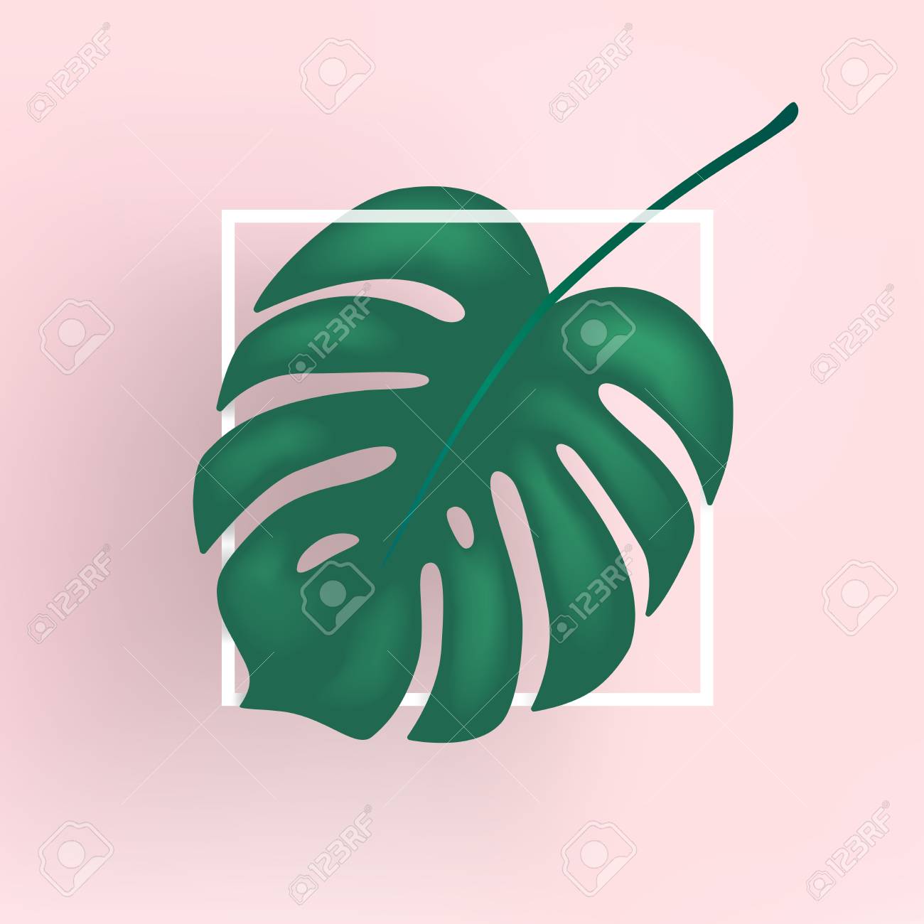 monstera vector leaf template tropical leaves pink trendy