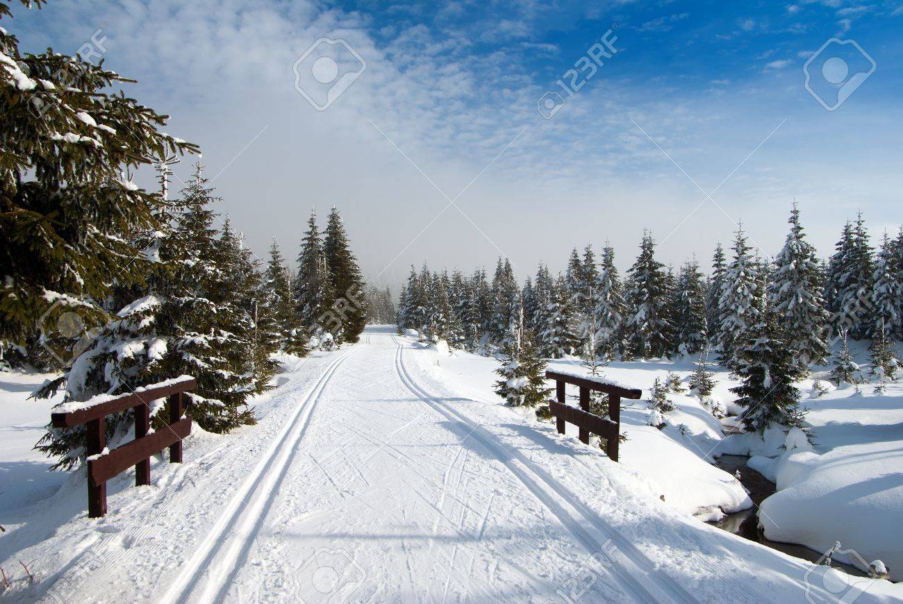 wintry landscape scenery with